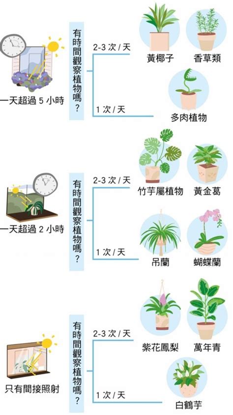 房間種植物 認知構造
